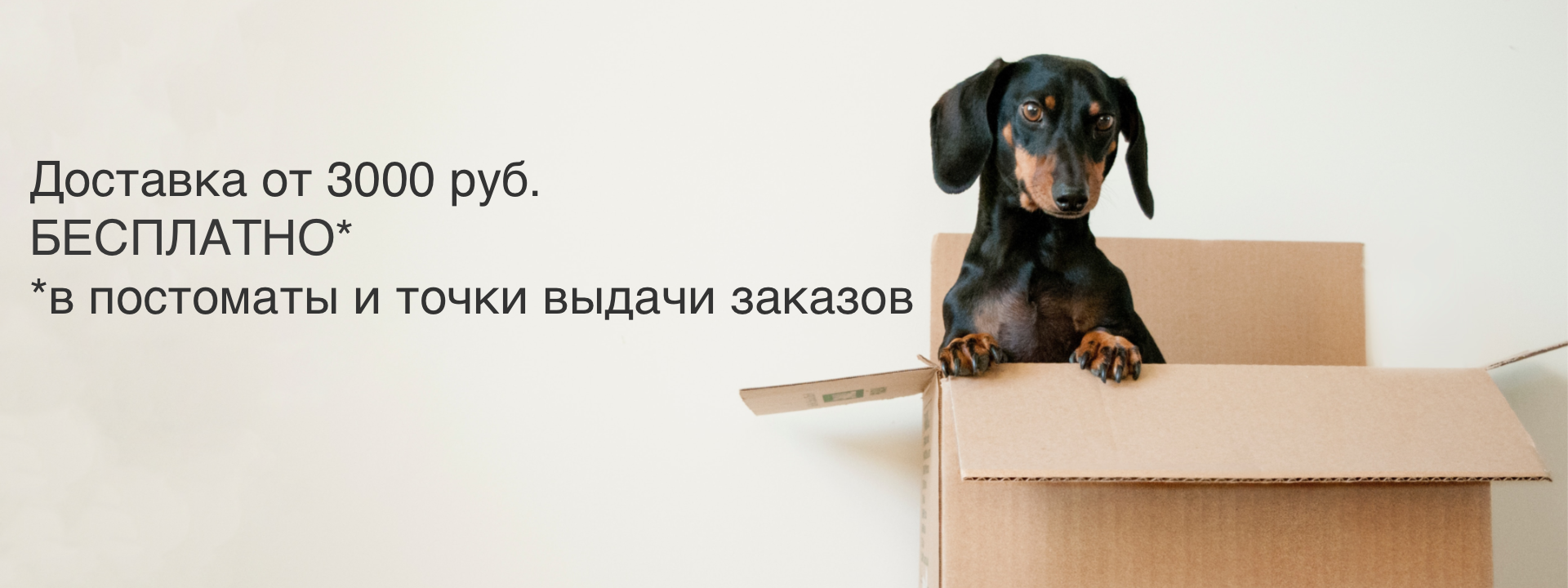 БЕСПЛАТНАЯ ДОСТАВКА ПО РОССИИ