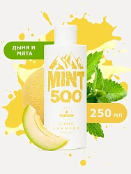 Освежающий шампунь против жирного блеска с ароматом мяты и Mint500 Classic Shampoo Melon Mint 250 мл